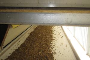 SISTEMA DI ESSICCAGGIO DELLA POLLINA (MDS)